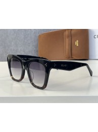 Copy Celine Sunglasses Top Quality CES00213 Tl5477Kn92