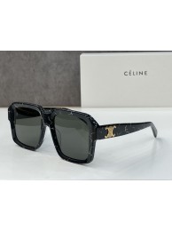Imitation Celine Sunglasses Top Quality CES00064 Sunglasses Tl5626VO34