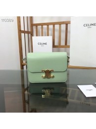 Imitation Celine TEEN TRIOMPHE BAG IN SHINY CALFSKIN MINERAL 188423 light green Tl4773Xr29