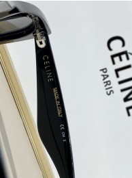 Luxury Celine Sunglasses Top Quality CES00189 Sunglasses Tl5501UV86