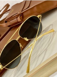 Luxury Celine Sunglasses Top Quality CES00273 Tl5417QT69